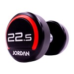 22.5kg Urethane dumbbells (pair)
