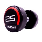25kg Urethane dumbbells (pair)