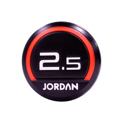 2.5kg Urethane dumbbells (pair)