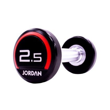 2.5kg Urethane dumbbells (pair)