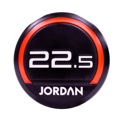 22.5kg Urethane dumbbells (pair)