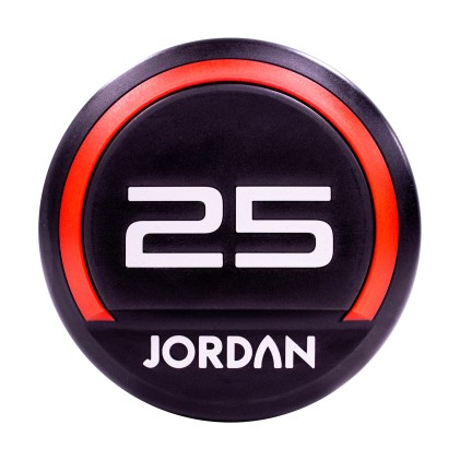 25kg Urethane dumbbells (pair)