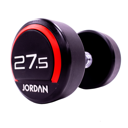27.5kg Urethane dumbbells (pair)